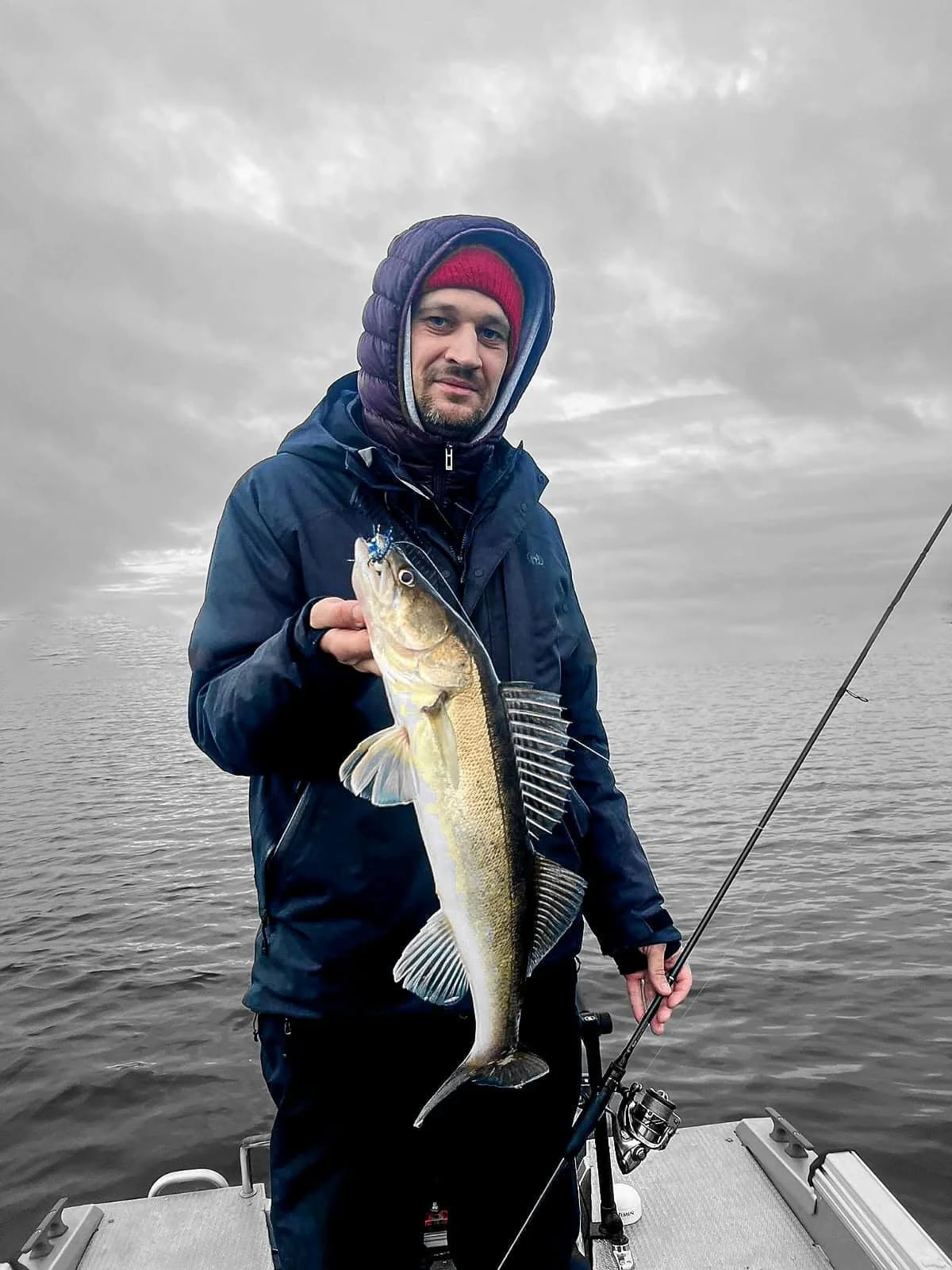 Zander and Perch Fishing in the Pärnu River, Estonia, November